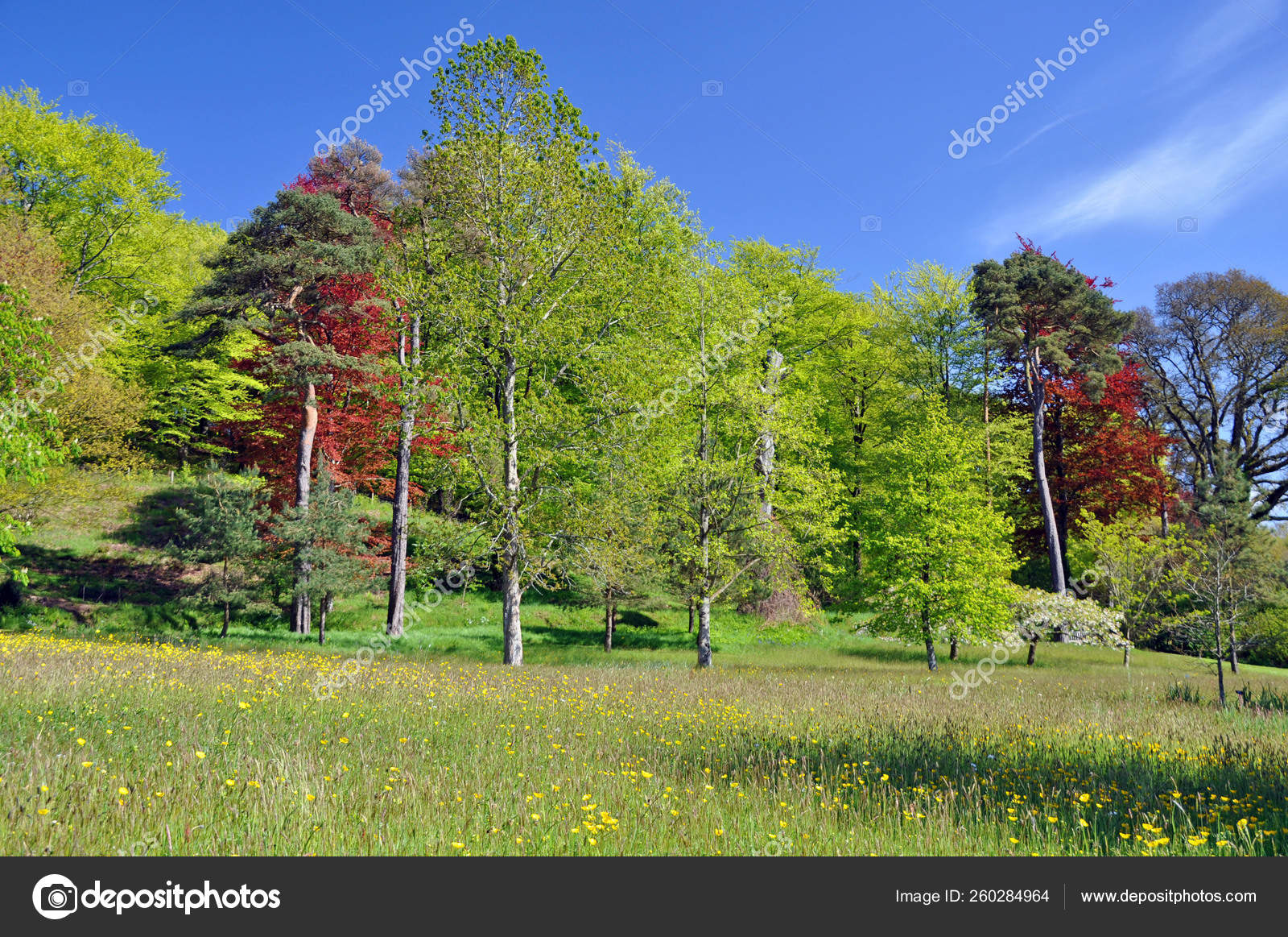 Wonderful Range Forest Colours Displayed Rhs Rosemoor Torrington North