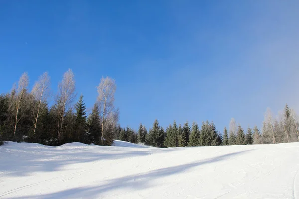 Pista Estación Esquí Spindleruv Mlyn Krkonose República Checa — Foto de Stock