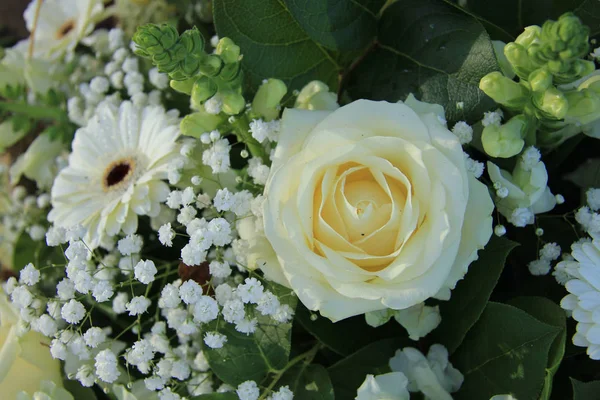 Gerbera Branca Rosas Brancas Gypsophila Branco Arranjo Casamento — Fotografia de Stock