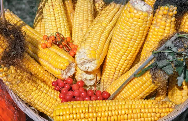 Foire Vendu Maïs Aux Fruits Sur Épi Garni Baies Frêne — Photo