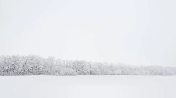 Paisagem Inverno Com Árvores Coberto Com Gelo Neve Névoa — Fotografia de Stock