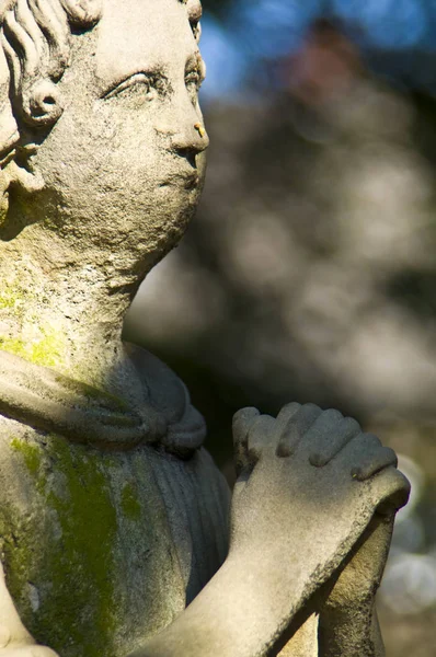 Detalle Una Antigua Lápida Mármol Antiguo Cementerio Bonn —  Fotos de Stock