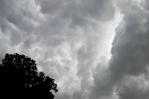 Nuages Orageux Dessus Floride Avec Arbre Dans Coin — Photo