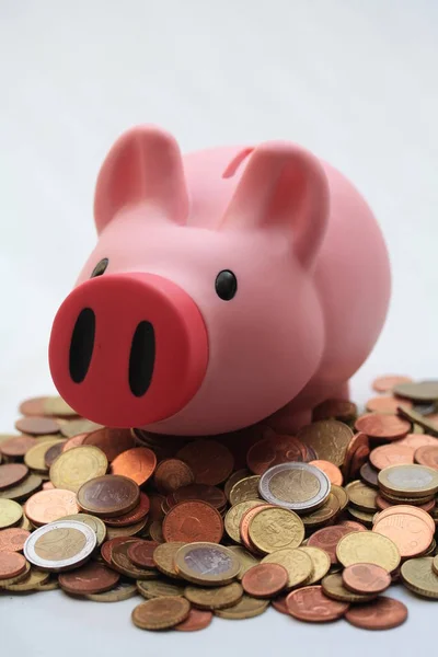 Roze Piggy Bank Een Stapel Geld — Stockfoto