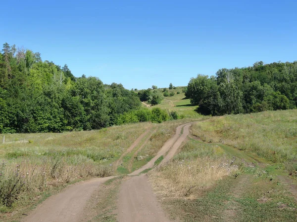 Route Rurale Dans Domaine Journée Ensoleillée Été — Photo