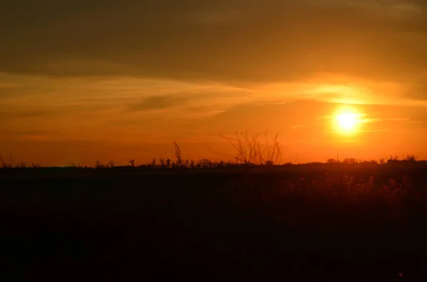 Tramonto Sulla Città Nella Natura Nessuno Solo Natura Erba Alberi — Foto Stock