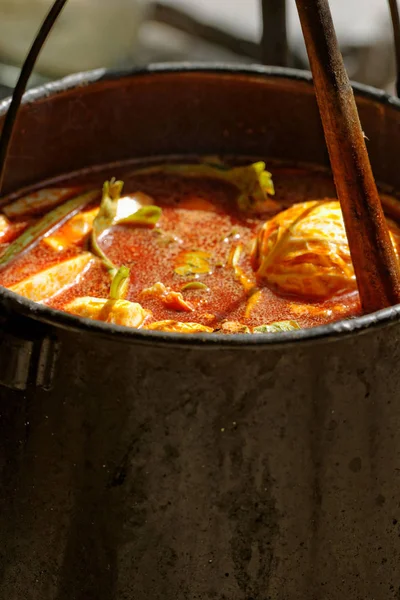 Cuisine Dans Une Casserole Dans Nature — Photo