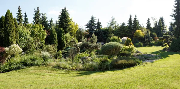 Jardin Printemps Coloré Plein Soleil Soir Concept Jardinage Printanier Plante — Photo