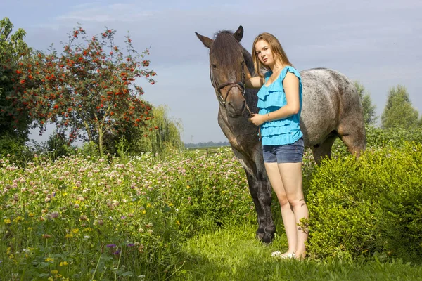 Mladá Dívka Její Kůň — Stock fotografie