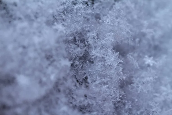 Schönheit Blaue Schneeflockenkristalle Auf Dunklem Hintergrund — Stockfoto