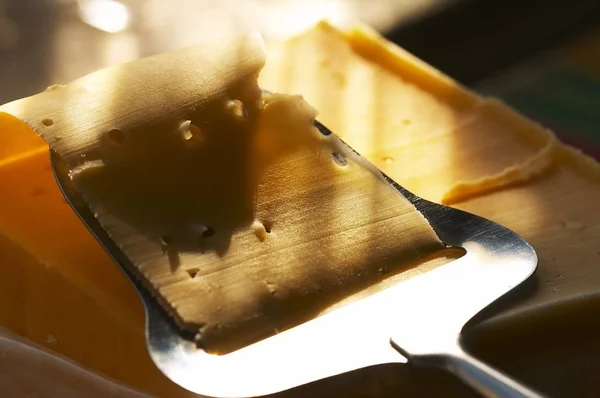 커터와 맛있는 치즈의 매크로 — 스톡 사진