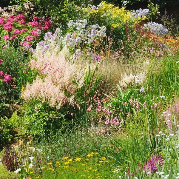 Scène Jardin Résonnant Une Telle Vue Partout Dans Monde Les — Photo