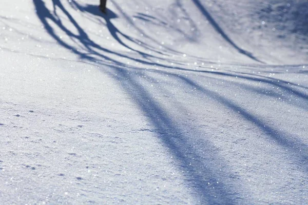 在日本Appi Hachimantai Iwate Touhoku滑雪 — 图库照片