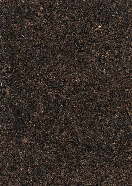 草および土のテクスチャ ストック写真 C Worac