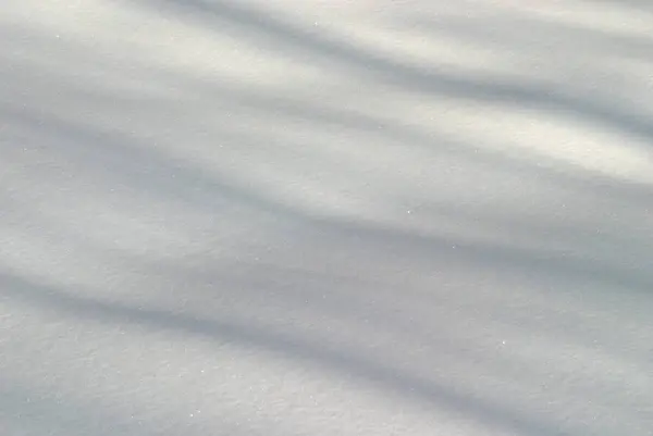 Fondo Blanco Nieve Invierno Luz Del Día — Foto de Stock