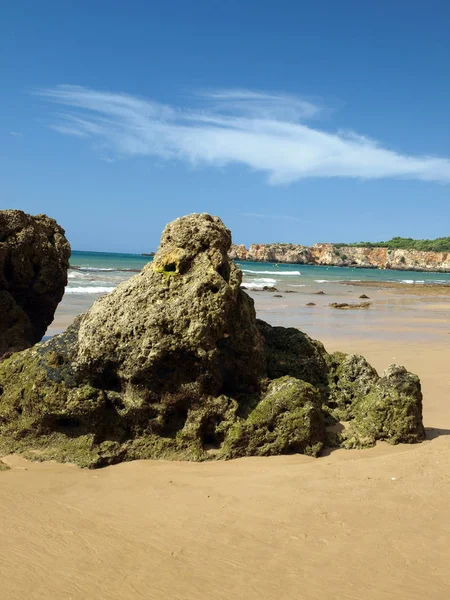 Costa Del Algarve Marea Baja Océano — Foto de Stock