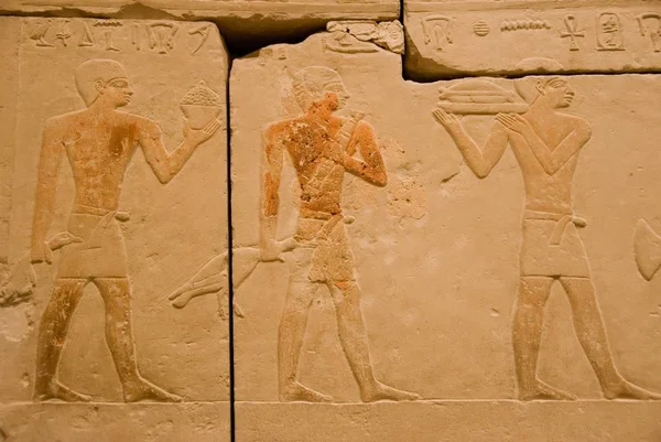 Довідкова Єгипетської Ієрогліфи — стокове фото