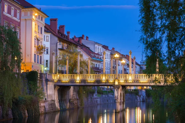 Vue Panoramique Sur Magnifique Paysage Urbain Centre Ville Ljubljana Capitale — Photo