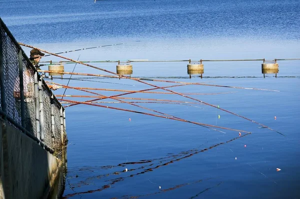 Fishing Poles Draped Fence Edge Dam Spillway Lake Rousseau Florida — Stock Photo, Image