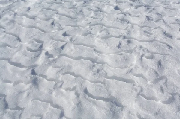 Viento Sopla Nieve Deriva Superficie Hielo Congelado Lago Montaña — Foto de Stock
