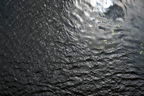 Water Surface Ripples Water Plants — Stock Photo, Image