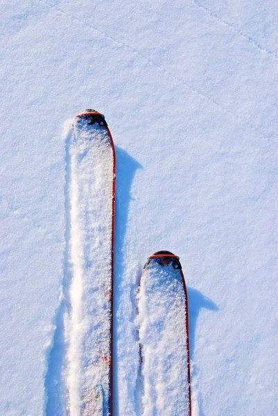 Esquis Neve — Fotografia de Stock