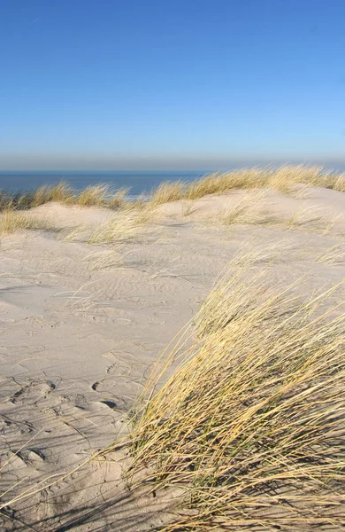 Duinen Zee Daarachter Nederland — Stockfoto