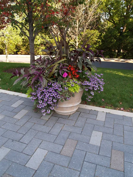 Många Blommor Utomhus Planter Tegel Gångväg — Stockfoto