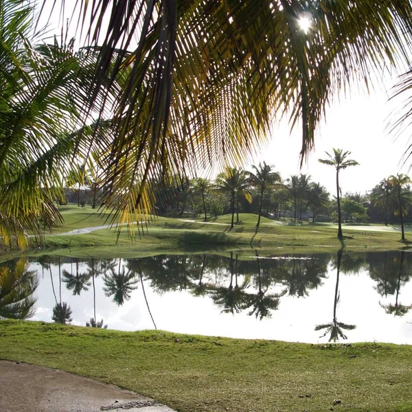 Golfplatz Dorado Puerto Rico — Stockfoto