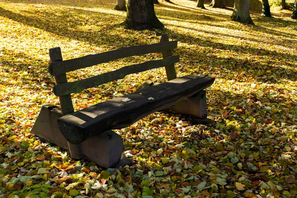 Träbänk Parken Nedfallna Löv Bakgrund — Stockfoto