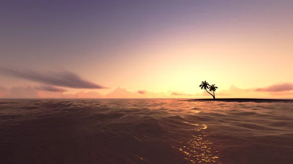 海の波とパーム海の夕日 — ストック写真
