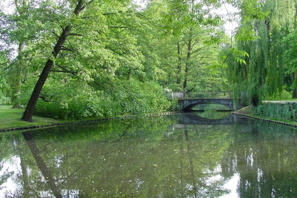 Parque Silencioso Com Ponte Varsóvia — Fotografia de Stock