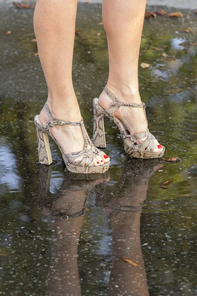 Patas Mujer Zapatos Moda Reflejo Charco — Foto de Stock