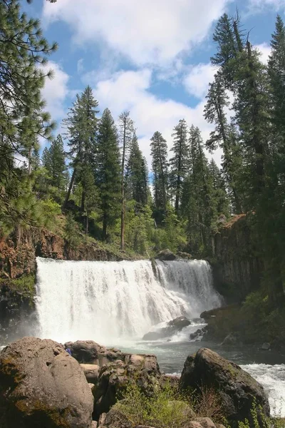 Brandy Creek Falls Est Une Jolie Petite Chute Pieds Long — Photo