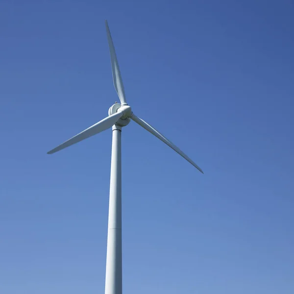 Ветряная Турбина Голубое Небо — стоковое фото