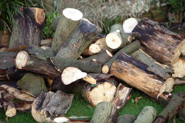 Freshly Cut Logs Horizontally — Stock Photo, Image