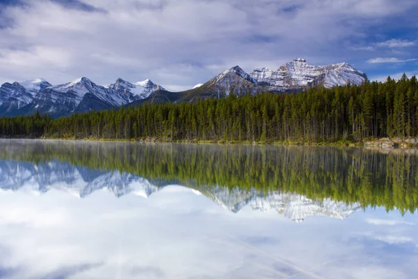 Гора Дерево Відображення Озері Герберт Національному Парку Банфф Альберта Канада — стокове фото
