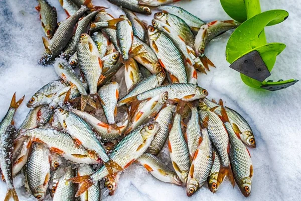 Barrena Hielo Pesca Amanecer Taladro Pesca Hielo Hermoso Cielo — Foto de Stock