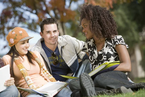 Três Amigos Estudando Juntos — Fotografia de Stock