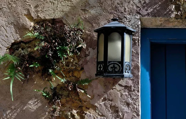 Fern Eski Bir Işık Fikstür Yanında Bir Duvarda Büyüyen — Stok fotoğraf