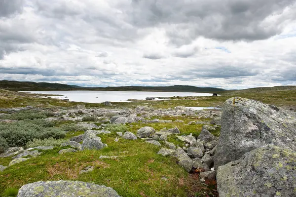Norveç Milli Parkında Kırsal Peyzaj Hardangervidda Adlı — Stok fotoğraf