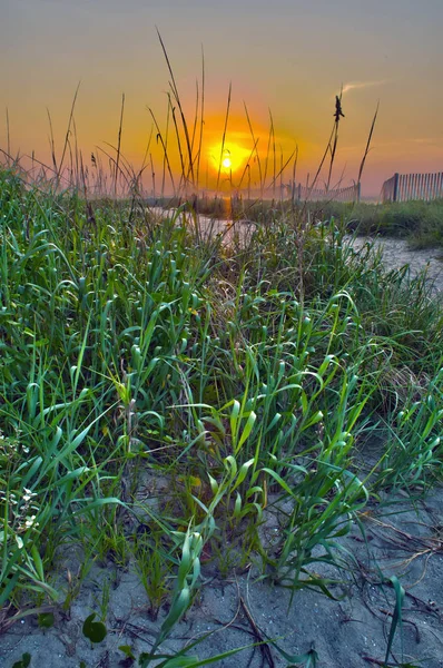 Схід Сонця Мирному Пляжі — стокове фото