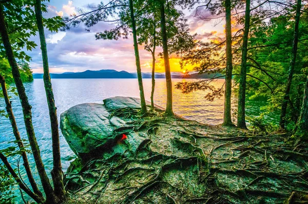 Doğa Upstate Güney Carolina Lake Jocassee Gorge Dağları Çevresinde — Stok fotoğraf