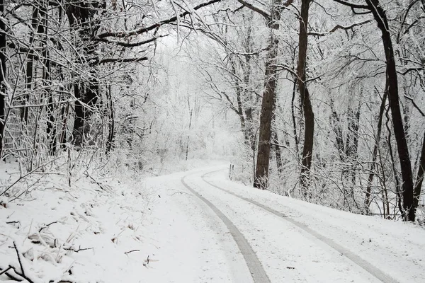 Snow Covered Road Com Faixas Pneus Levando Embora — Fotografia de Stock