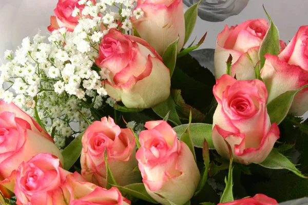 Kytice Růží Bílá Gypsílie Známějším Jako Oddechu — Stock fotografie