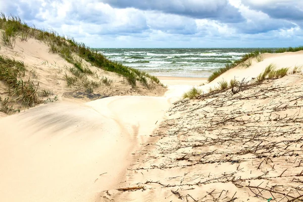 Sand Dunes Baltic Sea Coastline Nida Lithuania — Stock Photo, Image