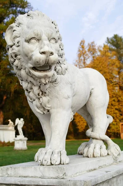 Primer Plano Estatua Del León — Foto de Stock