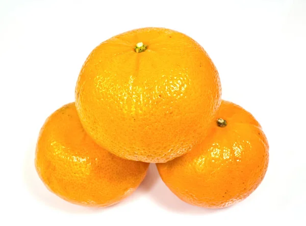 Tangerinas Árvores Isoladas Sobre Fundo Branco — Fotografia de Stock