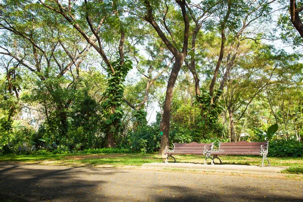 Banco Localizado Por Passarela Debaixo Grande Árvore Parque — Fotografia de Stock