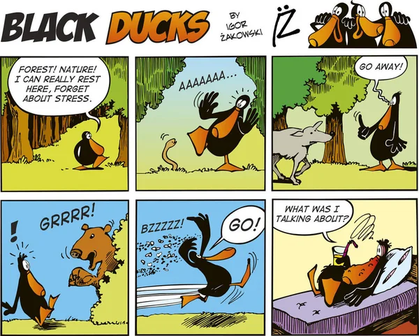 Patos Pretos Comic Strip Episódio — Fotografia de Stock